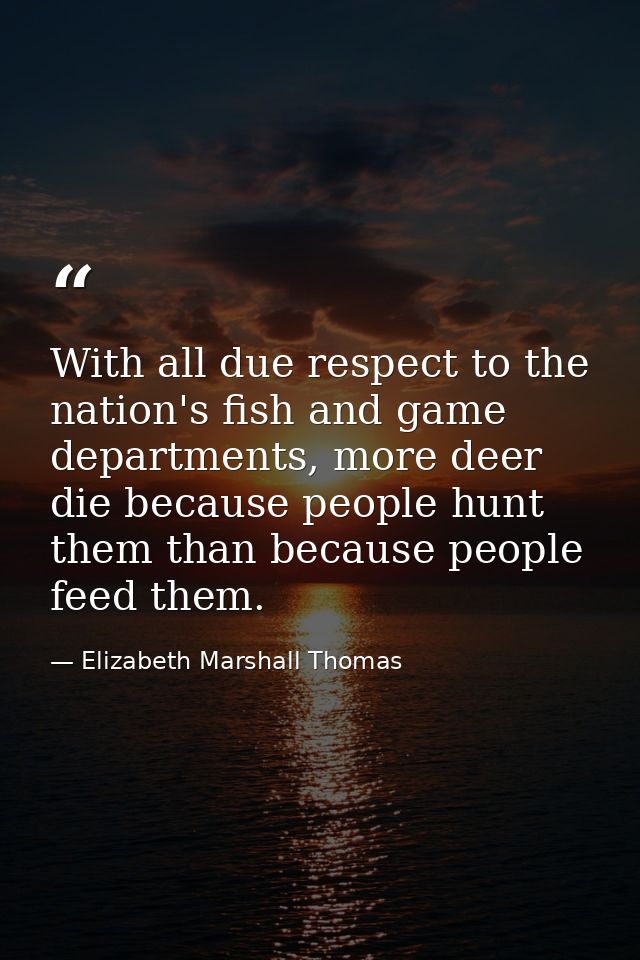 With all due respect to the nation's fish and game departments, more deer die because people hunt them than because peop — Elizabeth Marshall Thomas