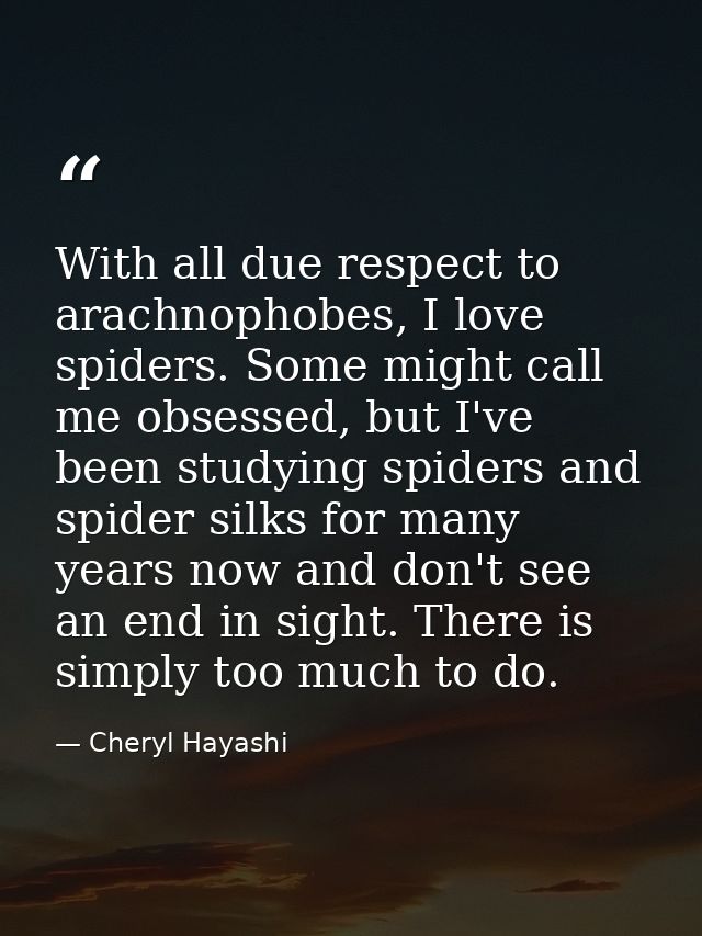 With all due respect to arachnophobes, I love spiders. Some might call me obsessed, but I've been studying spiders and s — Cheryl Hayashi