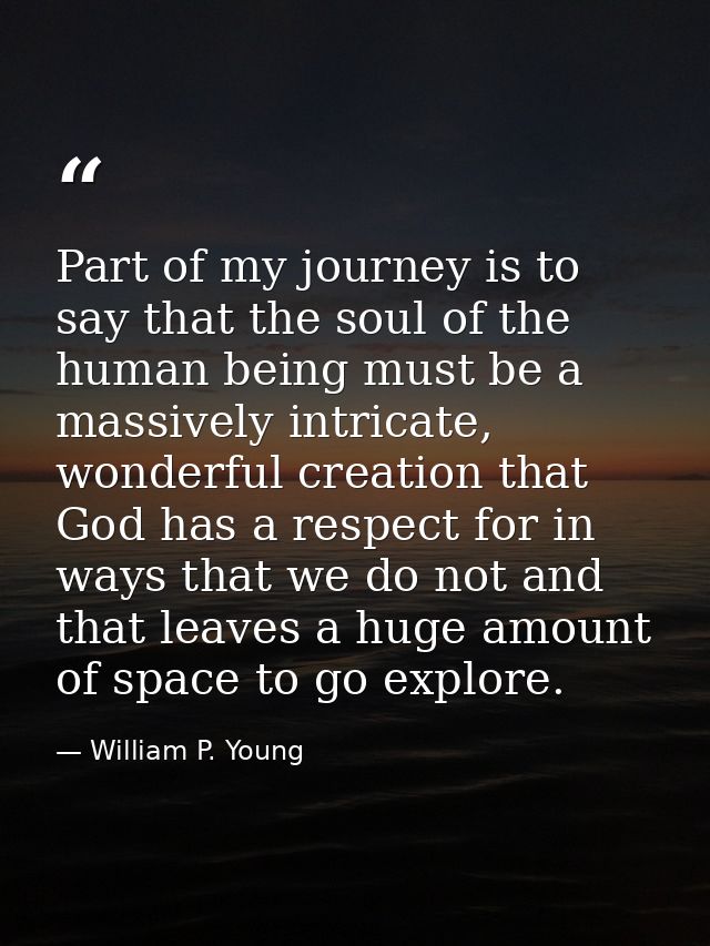Part of my journey is to say that the soul of the human being must be a massively intricate, wonderful creation that God — William P. Young