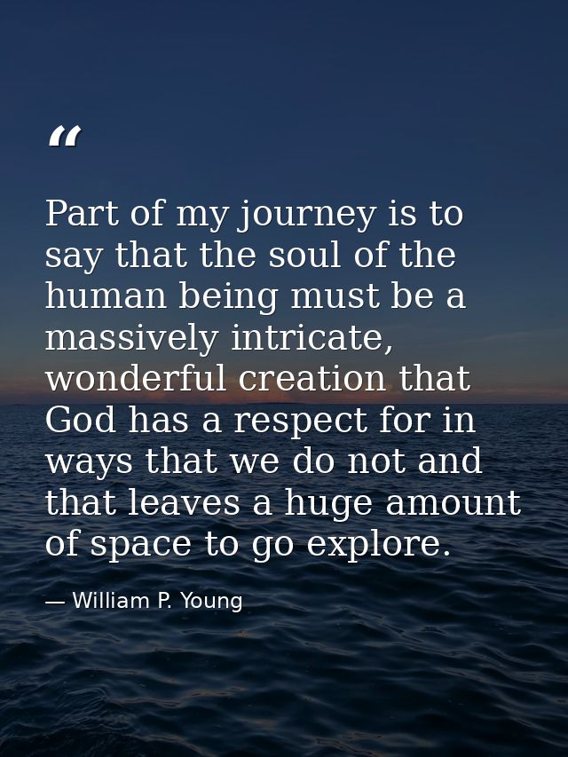 Part of my journey is to say that the soul of the human being must be a massively intricate, wonderful creation that God — William P. Young
