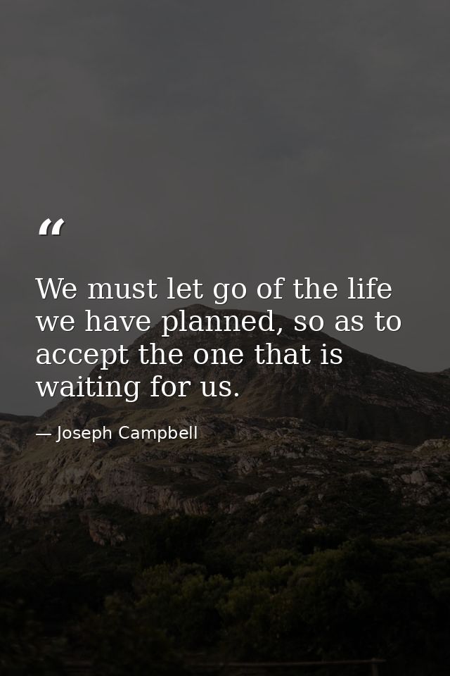 We must let go of the life we have planned, so as to accept the one that is waiting for us. — Joseph Campbell