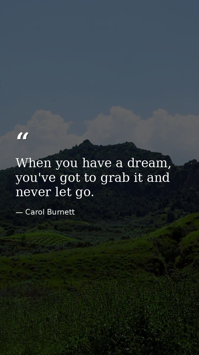 When you have a dream, you've got to grab it and never let go. — Carol Burnett