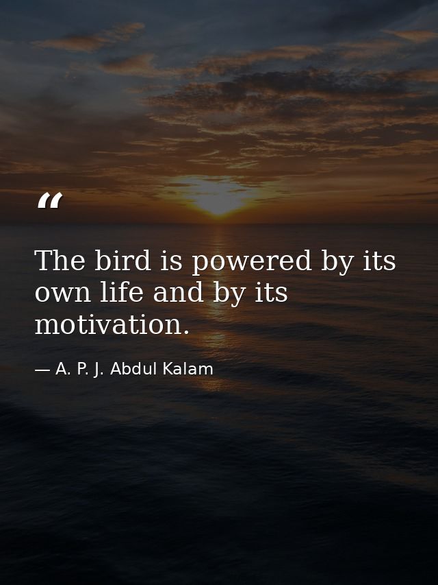 The bird is powered by its own life and by its motivation. — A. P. J. Abdul Kalam