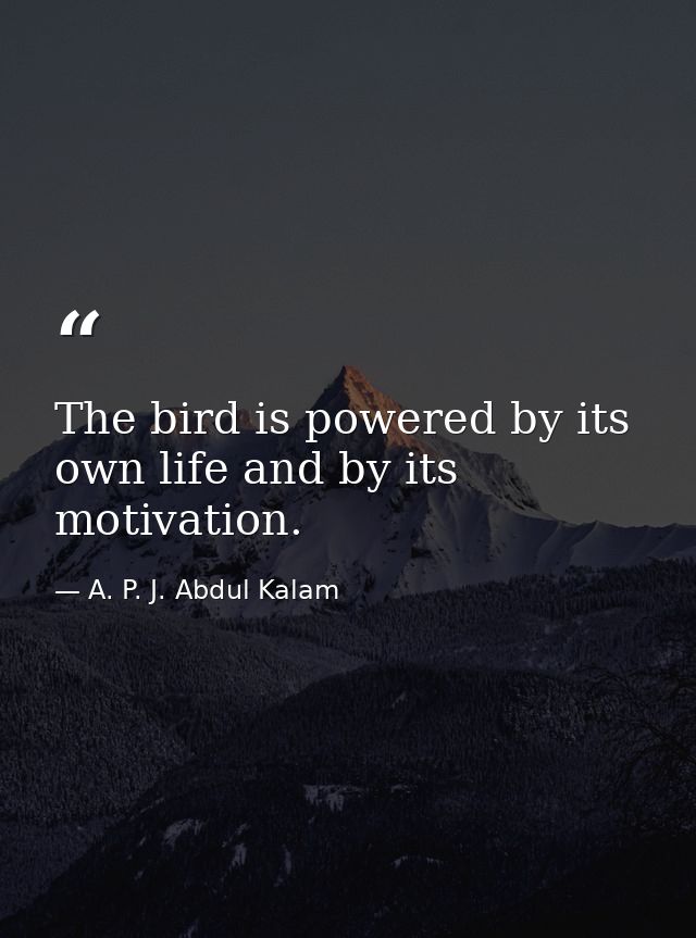 The bird is powered by its own life and by its motivation. — A. P. J. Abdul Kalam
