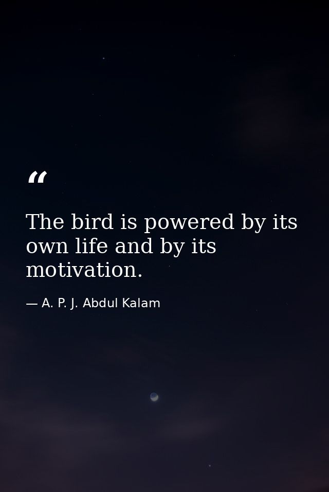 The bird is powered by its own life and by its motivation. — A. P. J. Abdul Kalam