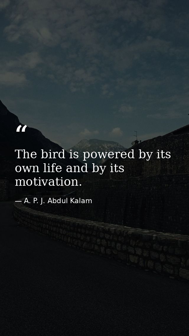 The bird is powered by its own life and by its motivation. — A. P. J. Abdul Kalam