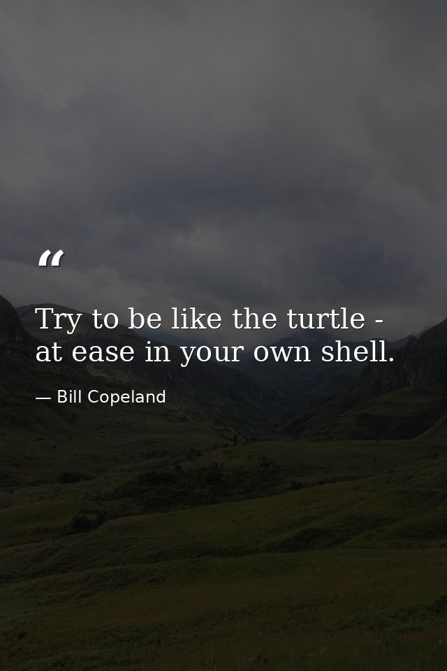 Try to be like the turtle - at ease in your own shell. — Bill Copeland