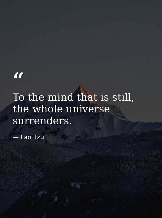 To the mind that is still, the whole universe surrenders. — Lao Tzu
