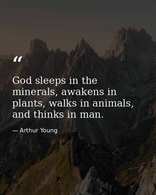 God sleeps in the minerals, awakens in plants, walks in animals, and thinks in man. — Arthur Young