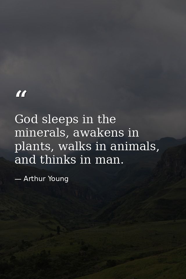 God sleeps in the minerals, awakens in plants, walks in animals, and thinks in man. — Arthur Young