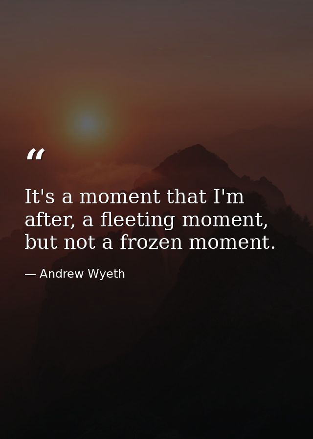 It's a moment that I'm after, a fleeting moment, but not a frozen moment. — Andrew Wyeth