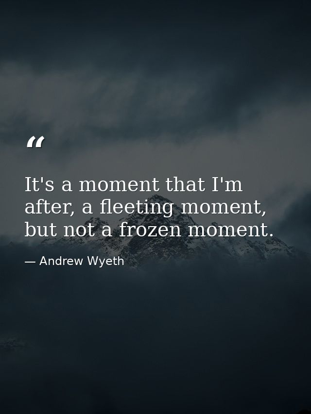 It's a moment that I'm after, a fleeting moment, but not a frozen moment. — Andrew Wyeth