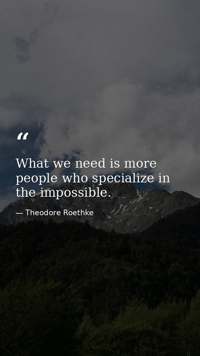 What we need is more people who specialize in the impossible. — Theodore Roethke