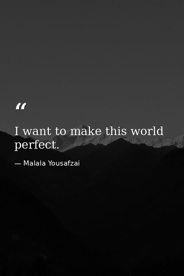I want to make this world perfect. — Malala Yousafzai
