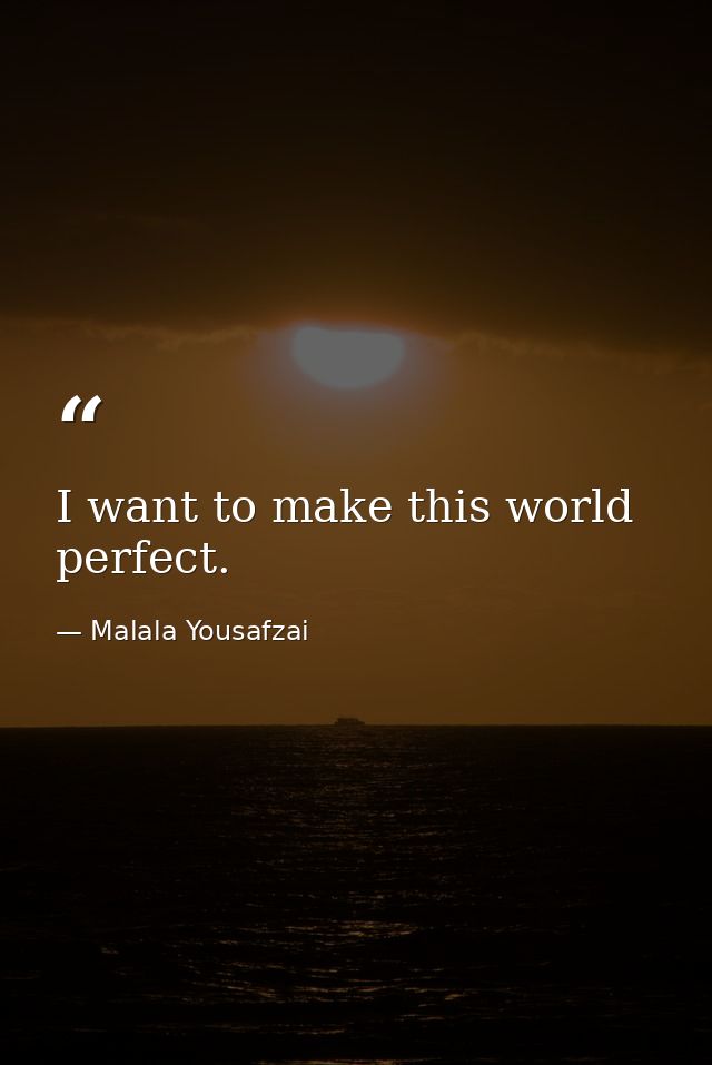 I want to make this world perfect. — Malala Yousafzai