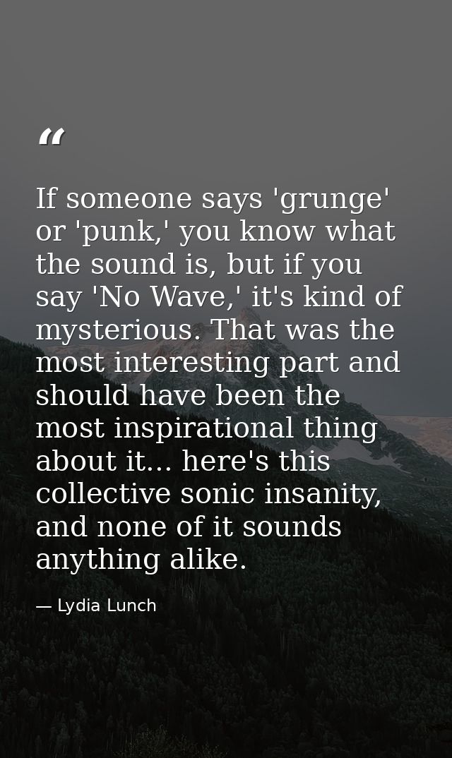 If someone says 'grunge' or 'punk,' you know what the sound is, but if you say 'No Wave,' it's kind of mysterious. That  — Lydia Lunch