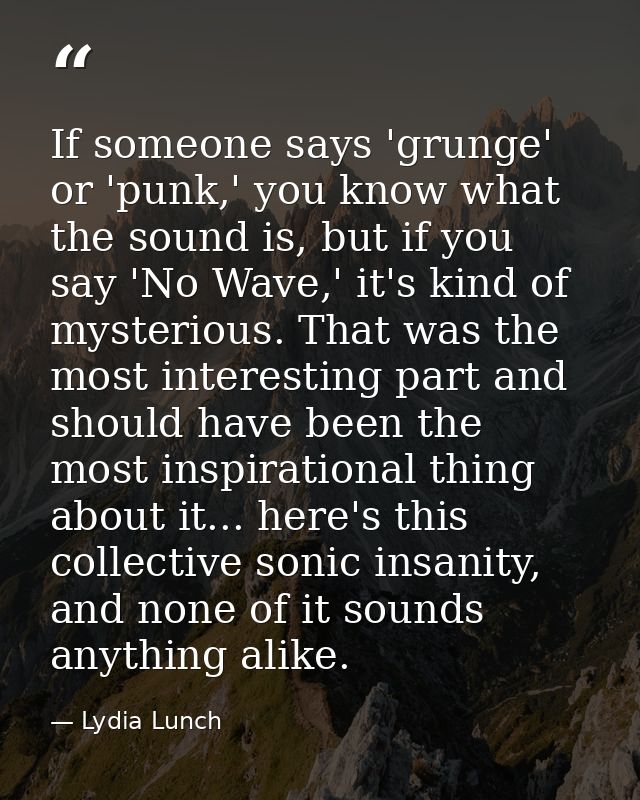 If someone says 'grunge' or 'punk,' you know what the sound is, but if you say 'No Wave,' it's kind of mysterious. That  — Lydia Lunch