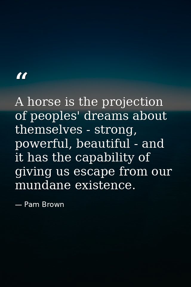 A horse is the projection of peoples' dreams about themselves - strong, powerful, beautiful - and it has the capability  — Pam Brown