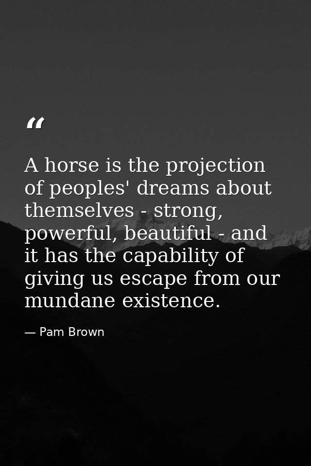 A horse is the projection of peoples' dreams about themselves - strong, powerful, beautiful - and it has the capability  — Pam Brown