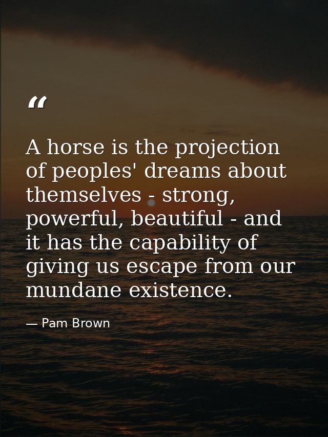 A horse is the projection of peoples' dreams about themselves - strong, powerful, beautiful - and it has the capability  — Pam Brown