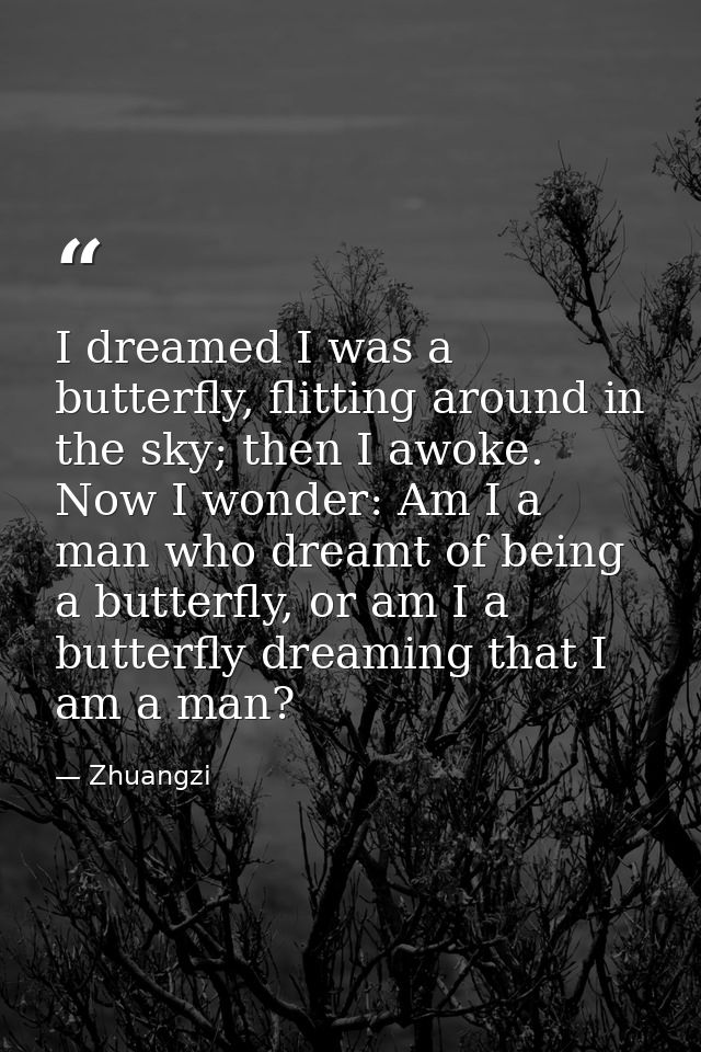 I dreamed I was a butterfly, flitting around in the sky; then I awoke. Now I wonder: Am I a man who dreamt of being a bu — Zhuangzi