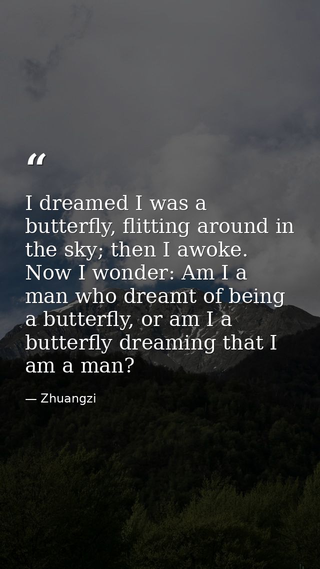 I dreamed I was a butterfly, flitting around in the sky; then I awoke. Now I wonder: Am I a man who dreamt of being a bu — Zhuangzi