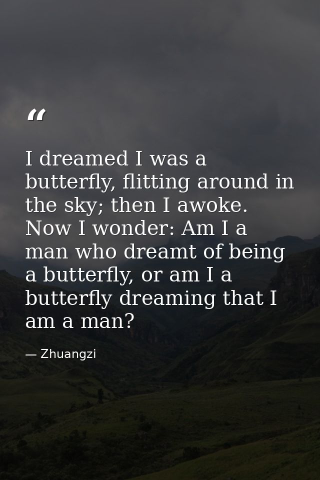 I dreamed I was a butterfly, flitting around in the sky; then I awoke. Now I wonder: Am I a man who dreamt of being a bu — Zhuangzi