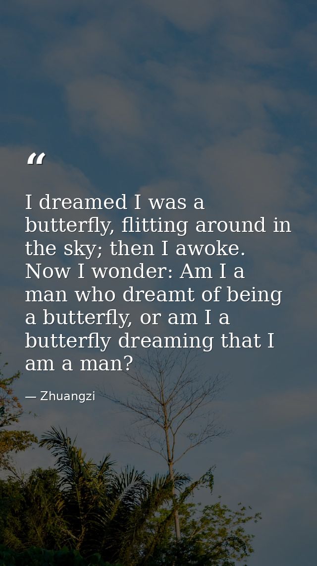 I dreamed I was a butterfly, flitting around in the sky; then I awoke. Now I wonder: Am I a man who dreamt of being a bu — Zhuangzi