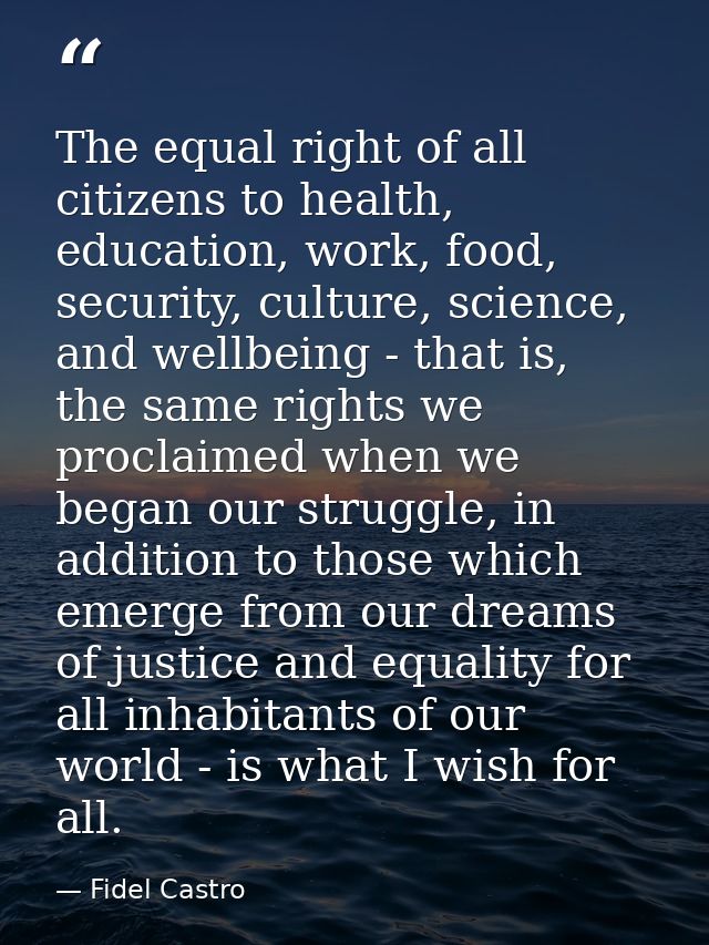 The equal right of all citizens to health, education, work, food, security, culture, science, and wellbeing - that is, t — Fidel Castro