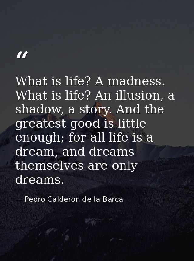 What is life? A madness. What is life? An illusion, a shadow, a story. And the greatest good is little enough; for all l — Pedro Calderon de la Barca