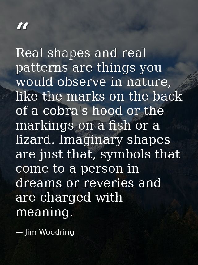 Real shapes and real patterns are things you would observe in nature, like the marks on the back of a cobra's hood or th — Jim Woodring