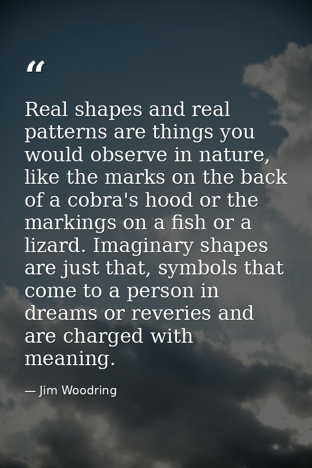 Real shapes and real patterns are things you would observe in nature, like the marks on the back of a cobra's hood or th — Jim Woodring