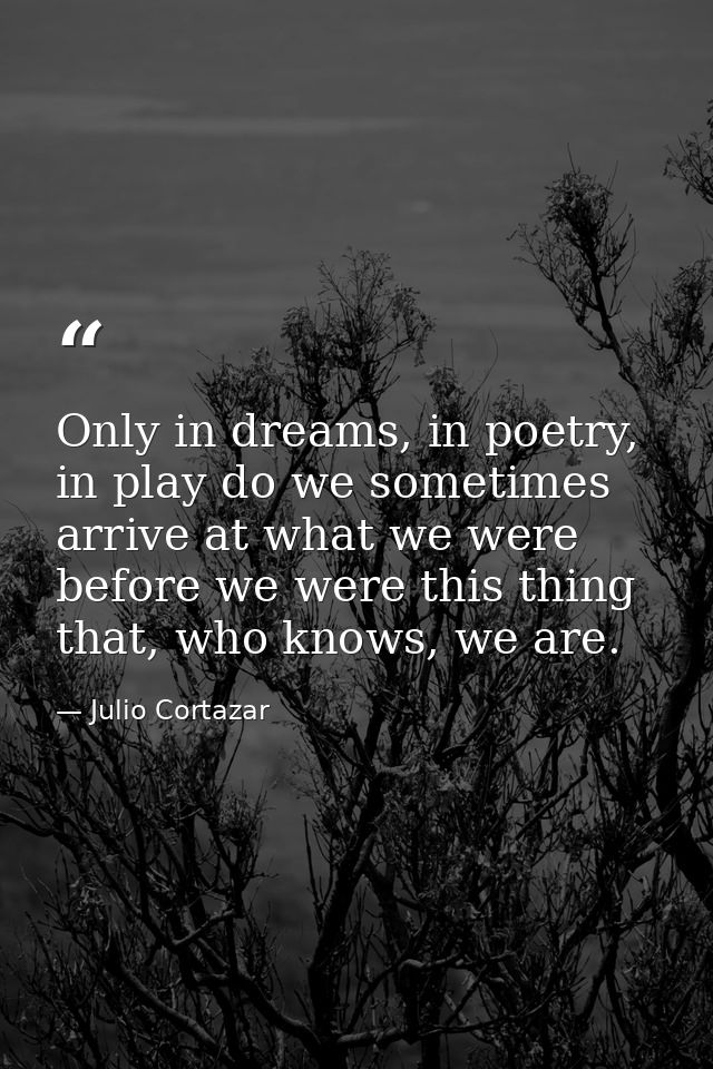 Only in dreams, in poetry, in play do we sometimes arrive at what we were before we were this thing that, who knows, we  — Julio Cortazar