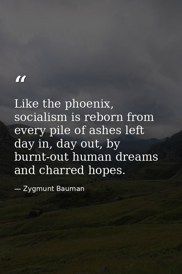 Like the phoenix, socialism is reborn from every pile of ashes left day in, day out, by burnt-out human dreams and charr — Zygmunt Bauman