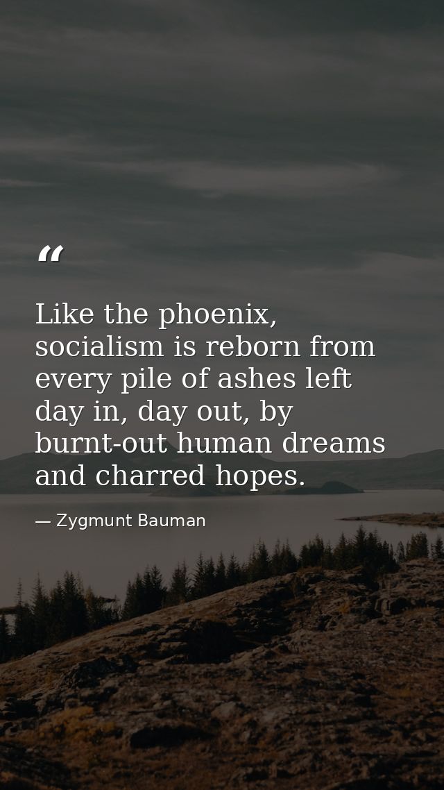 Like the phoenix, socialism is reborn from every pile of ashes left day in, day out, by burnt-out human dreams and charr — Zygmunt Bauman