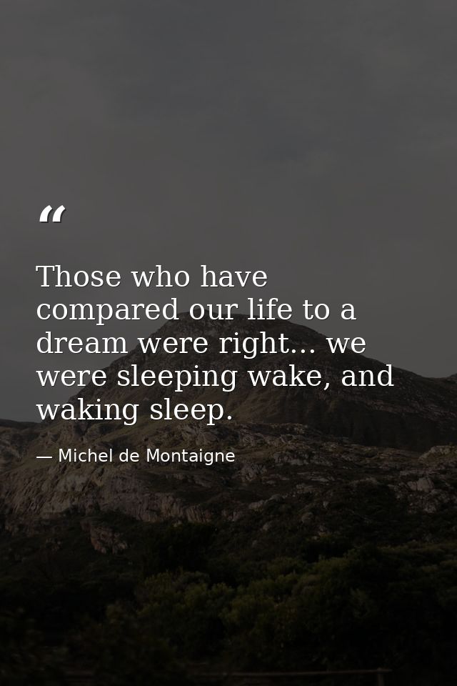Those who have compared our life to a dream were right... we were sleeping wake, and waking sleep. — Michel de Montaigne