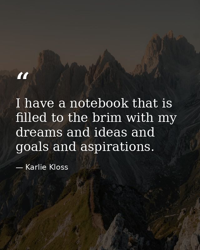 I have a notebook that is filled to the brim with my dreams and ideas and goals and aspirations. — Karlie Kloss