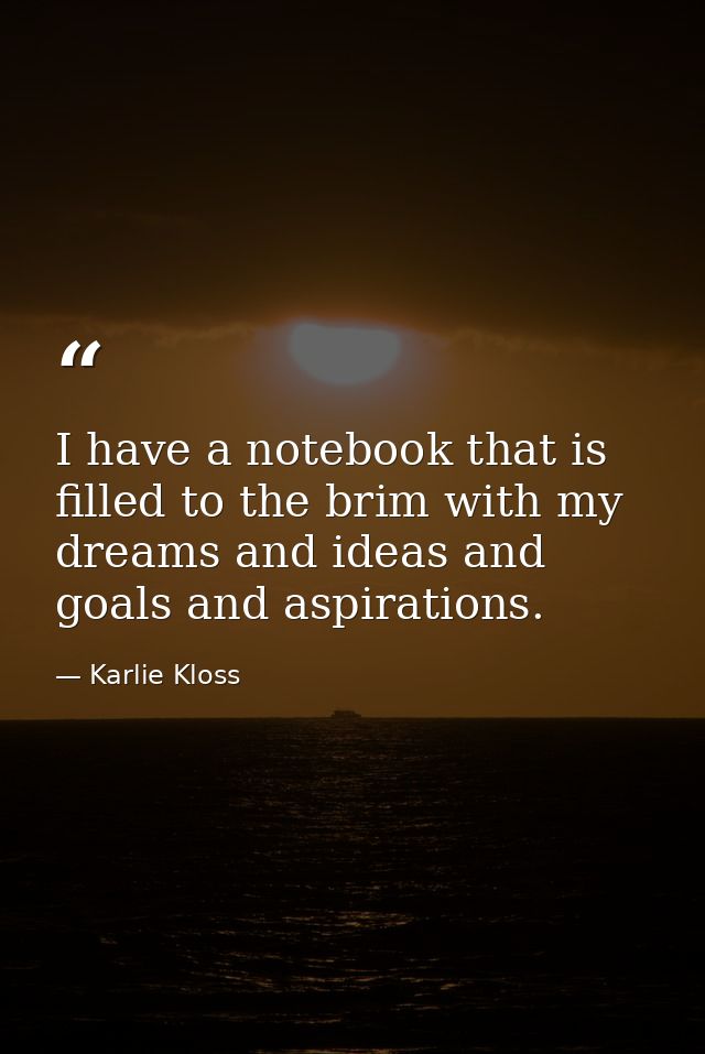 I have a notebook that is filled to the brim with my dreams and ideas and goals and aspirations. — Karlie Kloss