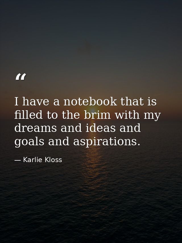 I have a notebook that is filled to the brim with my dreams and ideas and goals and aspirations. — Karlie Kloss