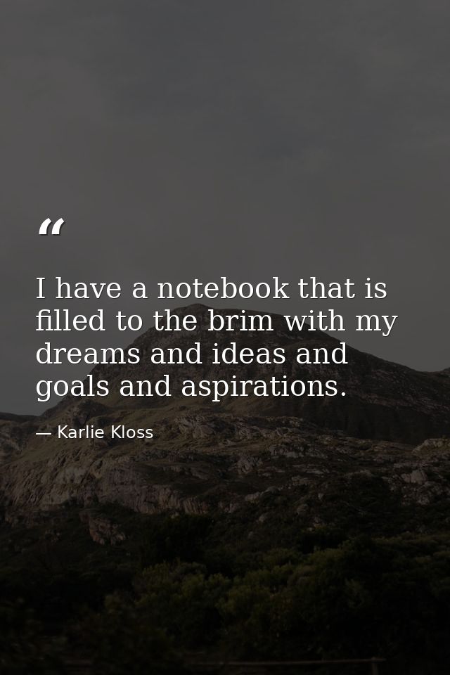 I have a notebook that is filled to the brim with my dreams and ideas and goals and aspirations. — Karlie Kloss