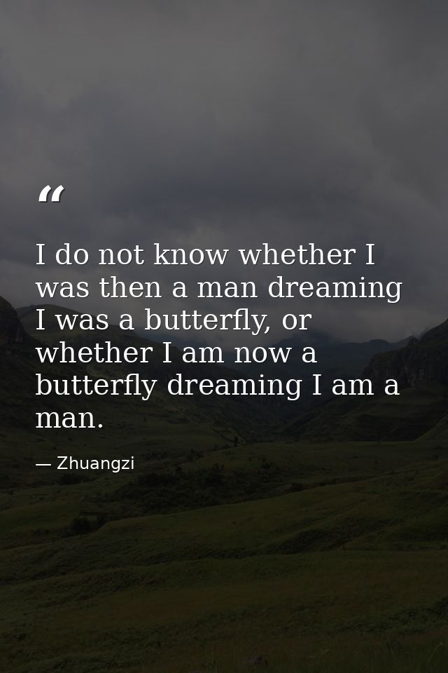I do not know whether I was then a man dreaming I was a butterfly, or whether I am now a butterfly dreaming I am a man. — Zhuangzi