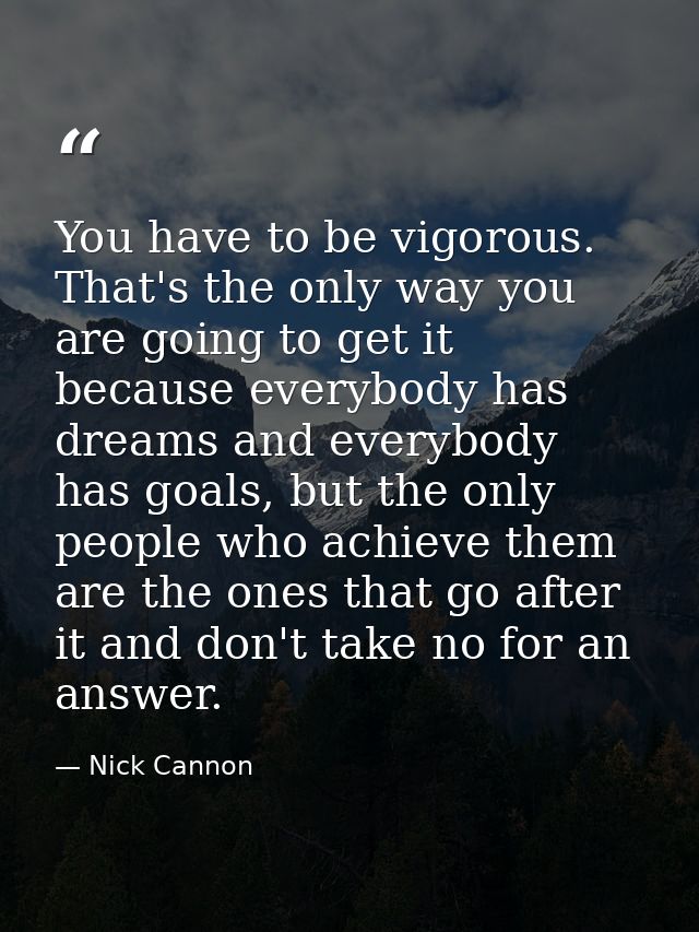 You have to be vigorous. That's the only way you are going to get it because everybody has dreams and everybody has goal — Nick Cannon
