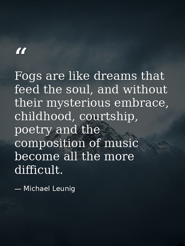 Fogs are like dreams that feed the soul, and without their mysterious embrace, childhood, courtship, poetry and the comp — Michael Leunig