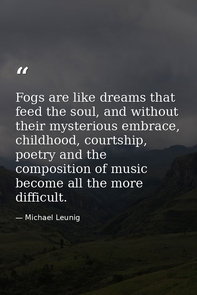 Fogs are like dreams that feed the soul, and without their mysterious embrace, childhood, courtship, poetry and the comp — Michael Leunig