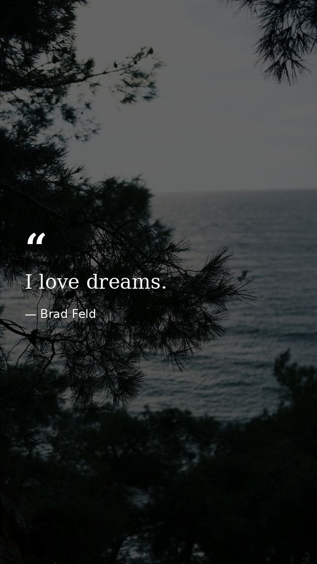 I love dreams. — Brad Feld