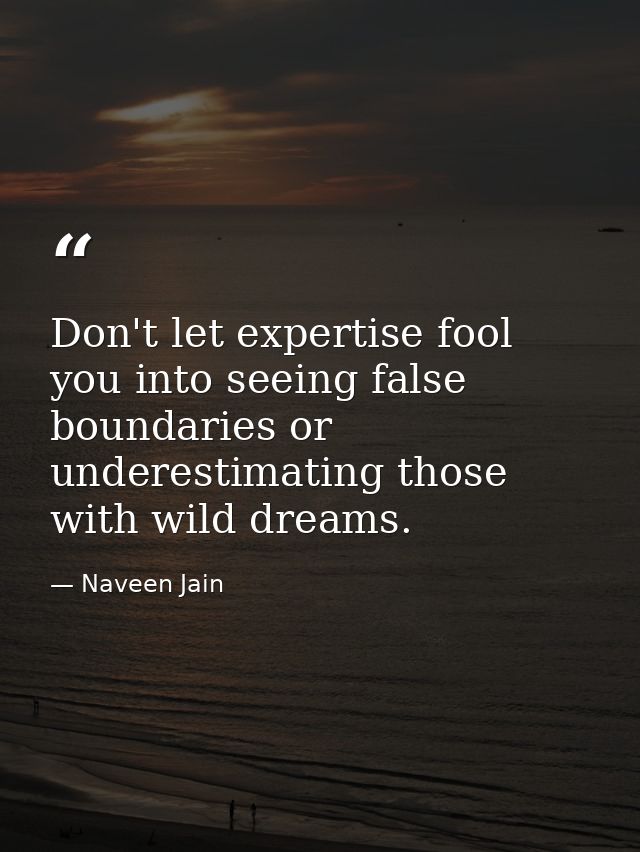 Don't let expertise fool you into seeing false boundaries or underestimating those with wild dreams. — Naveen Jain