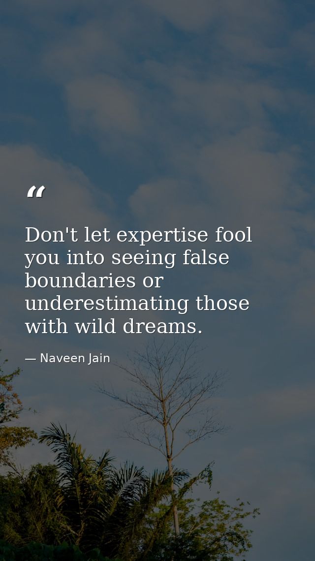 Don't let expertise fool you into seeing false boundaries or underestimating those with wild dreams. — Naveen Jain