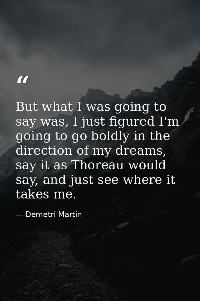 But what I was going to say was, I just figured I'm going to go boldly in the direction of my dreams, say it as Thoreau  — Demetri Martin