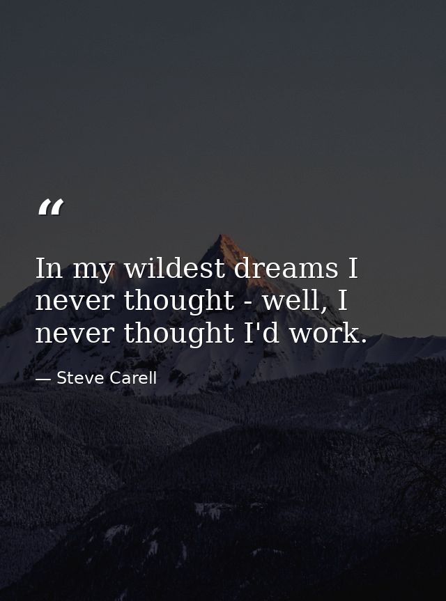In my wildest dreams I never thought - well, I never thought I'd work. — Steve Carell