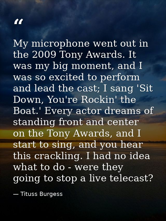 My microphone went out in the 2009 Tony Awards. It was my big moment, and I was so excited to perform and lead the cast; — Tituss Burgess